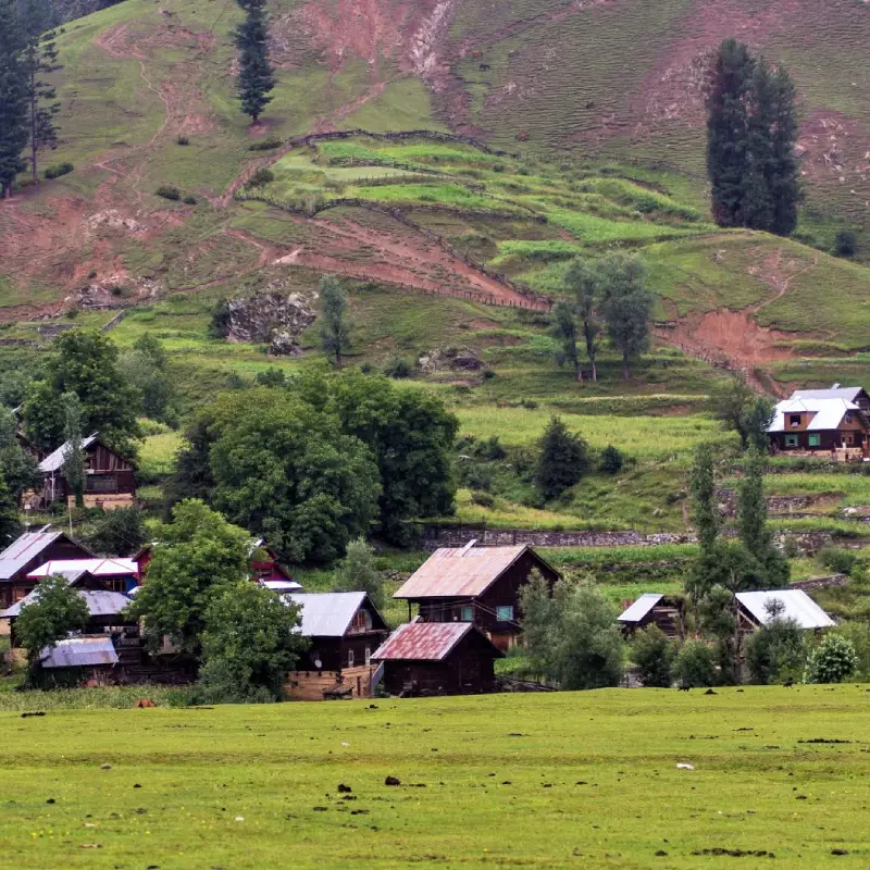 Kashmir